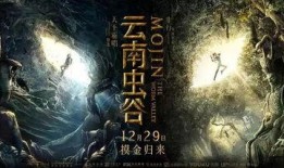 云南虫谷爆料视频,揭秘神秘古墓的惊悚之旅